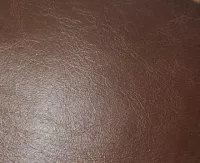 Chasnut